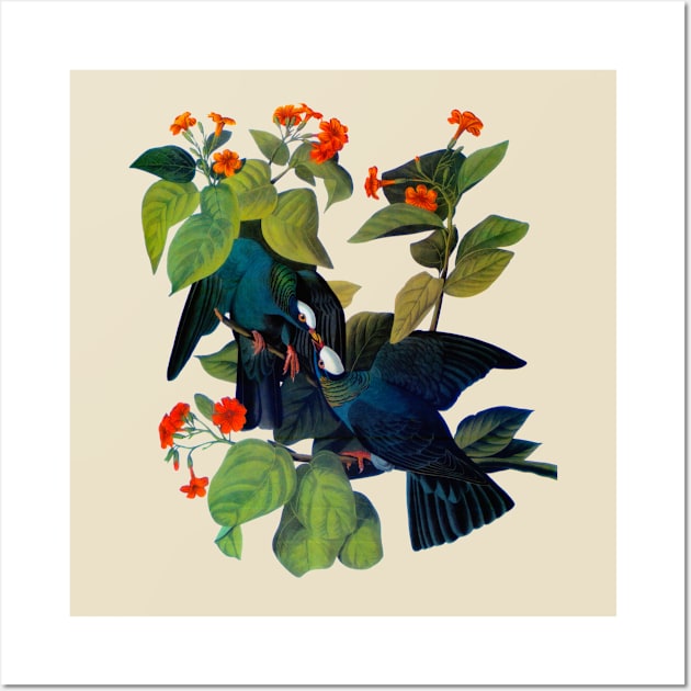 Audubons White crowned pigeon Wall Art by Dystopianpalace